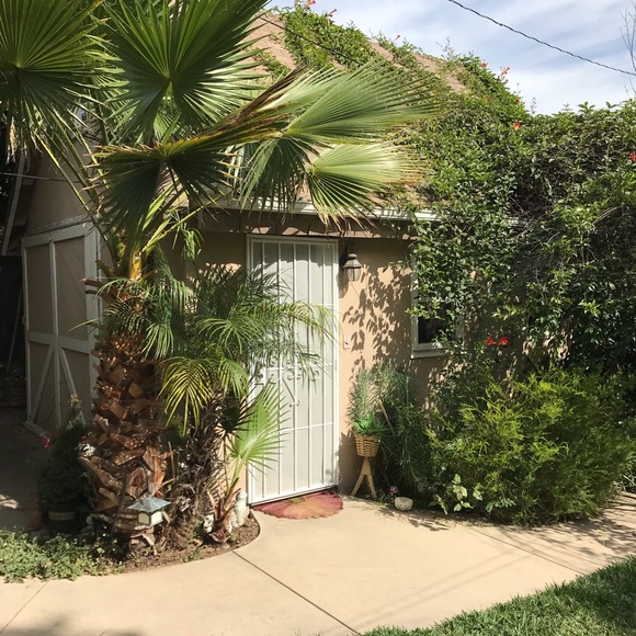 🚫🚬🐶🐱 Fast Mailing!! 5⭐️ rating!! ❤️offers!! - Picture 4 of 14